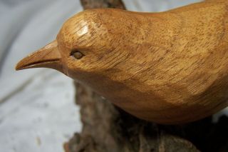 Wood Carving Of Wren On Driftwood,  Unsigned
