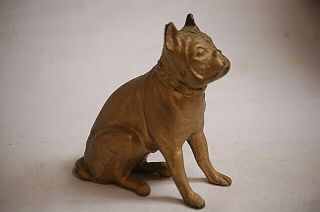 Old Vintage Cast Iron Boxer Dog Penny Coin Bank Figurine Gold Color Paint