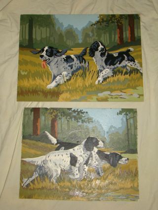 Vtg Paint By Number Hunting Dog Black & White Springer Spaniel Pointer Paintings