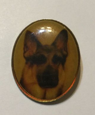 Vintage Oval German Shepherd Pin Made In Usa