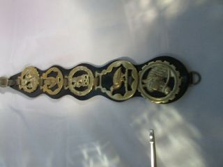 Vintage Leather Martingale Strap With 5 Brass Horse Medallions Found In England