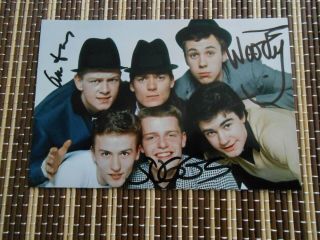 Madness,  Musician/ Singers,  Hand Signed Photo 6 X 4