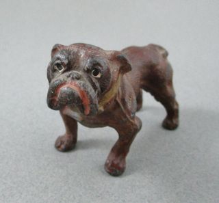 Antique German Cold Painted Metal Bulldog Figurine,  GERMANY 2