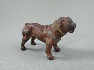 Antique German Cold Painted Metal Bulldog Figurine,  GERMANY 3