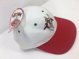 Nos Vintage Looney Tunes Taz Holiday Christmas Snapback Baseball Hat (1995)