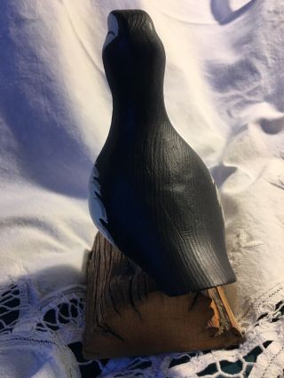 John Nelson 2000 Woodcarvings Carved & Painted Horned Puffin Glass Eyes Signed 5