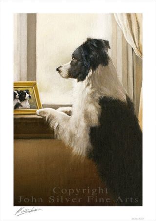 Border Collie Dog Portrait By John Silver.  Signed A4 Or A3 Size Print Bc324sp