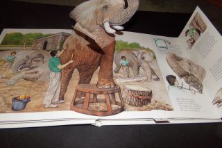 National Geographic At The Zoo Pop Up Book Monkeys Elephant Sea Lions Giraffe