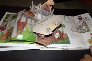 National Geographic At The Zoo Pop Up Book Monkeys Elephant Sea Lions Giraffe 5