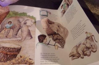 National Geographic At The Zoo Pop Up Book Monkeys Elephant Sea Lions Giraffe 8