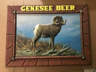 Vintage Genesee Beer Lighted Shadow Box Insert Big Horn Sheep Sherm Pehrson