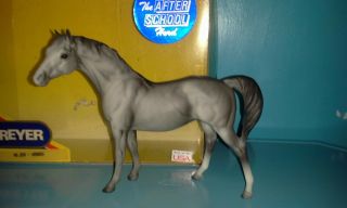 Breyer Classic Horse " Andrew " After School Herd Limited To 1 Year