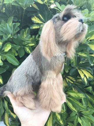 Realistic Puppy Dog Furry Animal Pet Gift Idea Decor Fairy Or Doll Pal