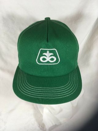 Pioneer Hat Cap Green White Snap Seed Corn Made In Usa