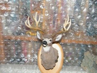 Simpkins Wildlife White Tail Deer Head On Wooden Plaque Wall Mount