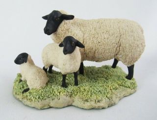 Border Fine Arts Scotland 1987 Sheep Ewe With Baby Lambs Family Figurine