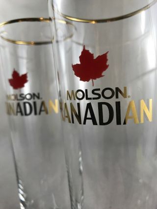 3 Molson Golden Canadian Beer Maple Leaf Logo Pilsner Glass Gold Trim