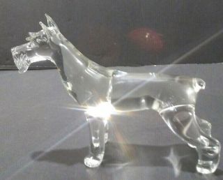 Art Blown Clear Glass Figurine Of The Schnauzer Dog 5 " X 4 " X 1.  5 "