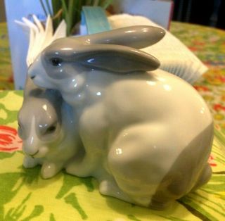 Vintage Western - Germany Bunny Rabbits - Gerold Porzellan - 7211,  B&G 1691 2