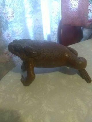 Antique Taxidermy Large Frog,  1800s,  Early 1900s
