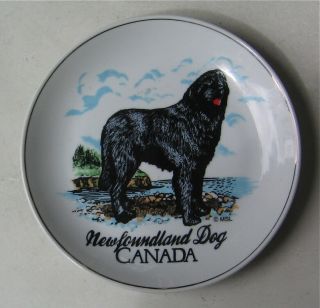 Newfoundland Dog Collectors Plate
