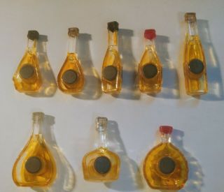 Set of 8 Vintage Plastic Bar Fridge Magnets of Cognac Liquor Bottles with Labels 2