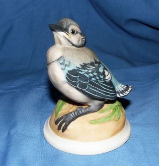 Boehm Baby Blue Jay Ceramic Bird 436 Figurine -