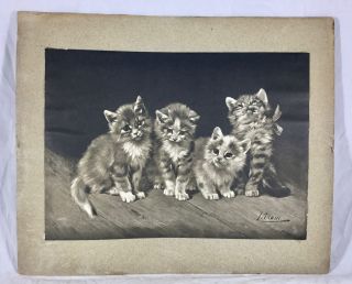 Vintage Rare Art Print 4 Little Scamps Adorable Cats Kittens L Adam 10x12