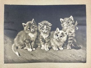 Vintage Rare Art Print 4 Little Scamps Adorable Cats Kittens L Adam 10x12 2