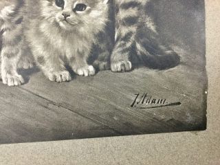 Vintage Rare Art Print 4 Little Scamps Adorable Cats Kittens L Adam 10x12 3