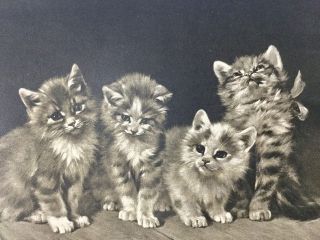Vintage Rare Art Print 4 Little Scamps Adorable Cats Kittens L Adam 10x12 4
