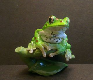 Rare Kaiyodo Aquatales Polyresin Forest Green Tree Frog Figure Model