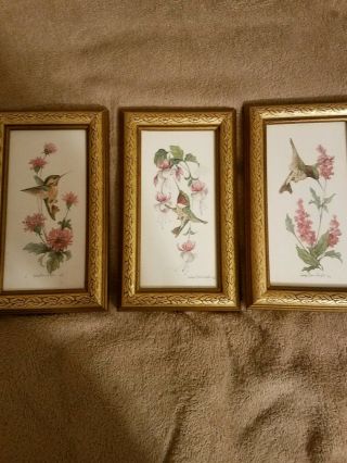 Set Of 3 Hummingbird Pictures Gold Colored Framed By Carolyn Shores Wrightz