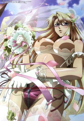 Freezing Vibration / Nobunaga The Fool Poster Promo Anime Bikini Girl Official