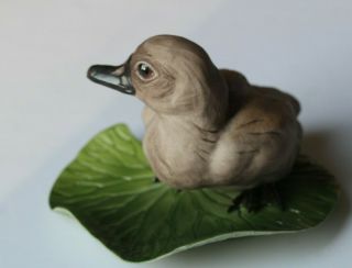 Boehm Cygnet Baby Swan Porcelain Bird Figurine Sculpture Mold 400 - 46 3