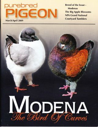 Purebred Pigeon Modena Issue Out Of Print Pub Can 