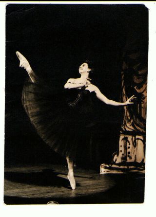 Dame Beryl Grey English Ballet Dancer Signed Photograph