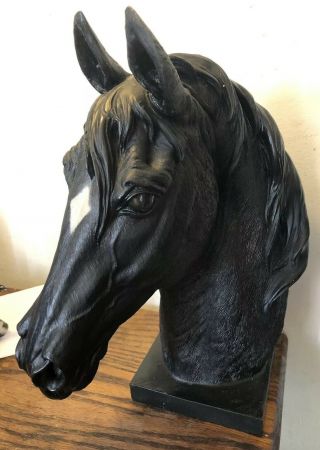 Large Resin Horse Head Bust Statue Sculpture 12 " Black Beauty With White Star