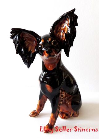 Russian Toy Terrier Dog Color Black & Tan Author 