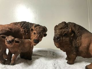 Family Buffalo / Bison Family Figurines Male,  Female,  And Calf
