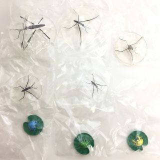 Nature Techni Colour Water Strider & Frog Figure Alcohol Boat Full Set Of 8