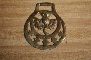Vintage Brass Horse Saddle Harness Bridle Medallion Badge - Thistle Flower