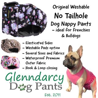 Glenndarcy No Tailhole Female Dog Nappy I French Bulldog | Bulldogs