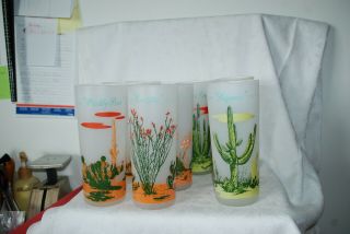 Set Of 8 Arizona Cactus Drinking Glasses Frosted Glass Vintage Blakely Oil Gas