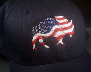 Bison Embroidered Cap With United States Flag