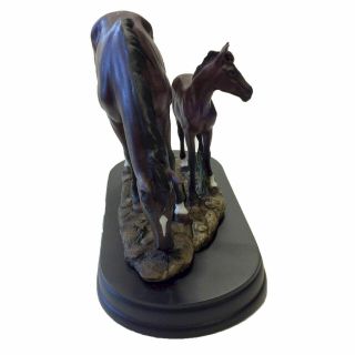 Horse and Foal on Wood Base 18cm Ornament Figurine Home Decor Gift Collectable 5