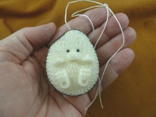 (tne - Hed - 636f) Little White Baby Hedgehog Tagua Nut Ornament Carving Vegetable