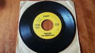 1969 Psych Garage 45 - The Essentials - Freedom Kandy 82042 Vg/vg Signatures