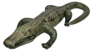 Inflatable Alligator Crocodile Reptile Tropical Animal Realistic Toy Pool Gift