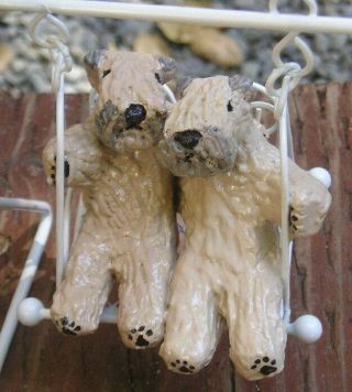 Soft Coated Wheaten Terrier Pair On A Swing